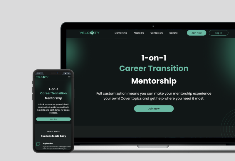 Mentorship